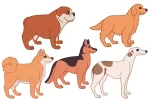 16 Dog breed illustrations