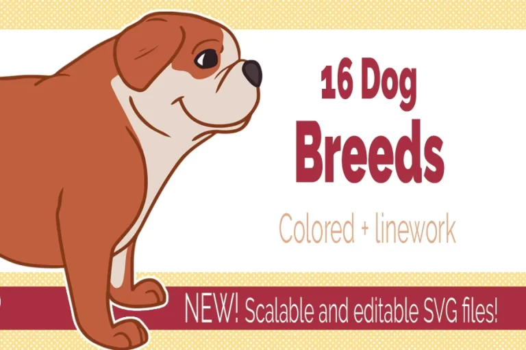 16 Dog breed illustrations