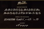 Miracle Script Font