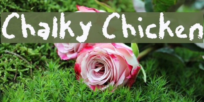 Chalky Chicken Font