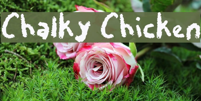 Chalky Chicken Font