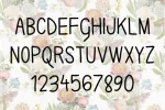Karla Camilla Font