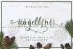 8 Luxurious Script Fonts