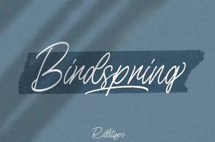 Birdspring Font