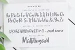 Jasmine Daily - Playful Display Font