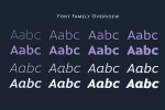 Magnetic Pro Font Family