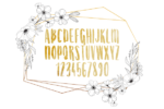 Anna Kay Font