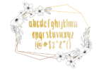 Anna Kay Font