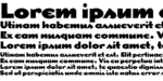 Black Dogma Font
