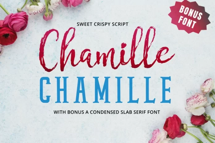 Chamille Script Font