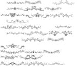 Floral Dividers Dingbat Set Font