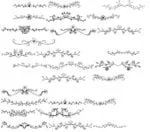 Floral Dividers Dingbat Set Font