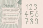 Inkhead Typeface