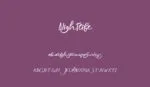 Nightlife Font