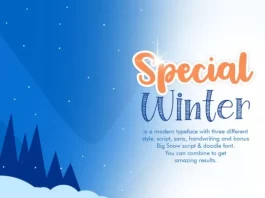 Winter Special Font