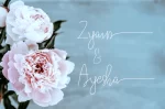 Ayesha Script Font