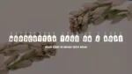 Woodcutter Tags on a Rope Font