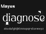 Mayes Variable Family 6+1 Styles Font