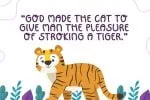 Tiger Funny Font