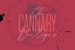 Whitelisa Script And Sans Font Duo