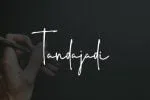 Midttone Font