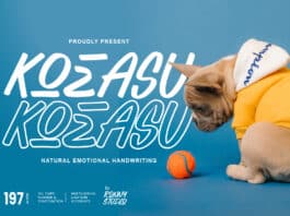 Koeasu Font