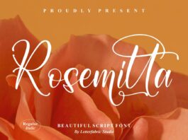 Rosemitta – Beautiful Script Font