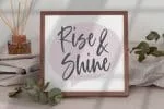 Acordian Script Font