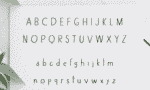 Alexiss Sans Serif Font