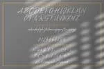 Aoutoory Dragon Font