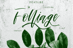 Ashley & Mellisa Font