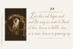 Aureliya Font