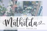 Berthalisa Calligraphy Font