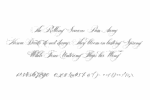 Bodega Script Font