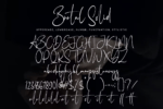 Brutal Solid Font