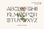 Buncher Georgia Font
