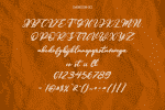 Chasing Sun Font