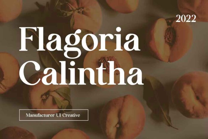 Flagoria Caintha Font