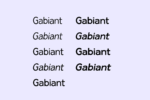 Gabiant Sans Serif Font