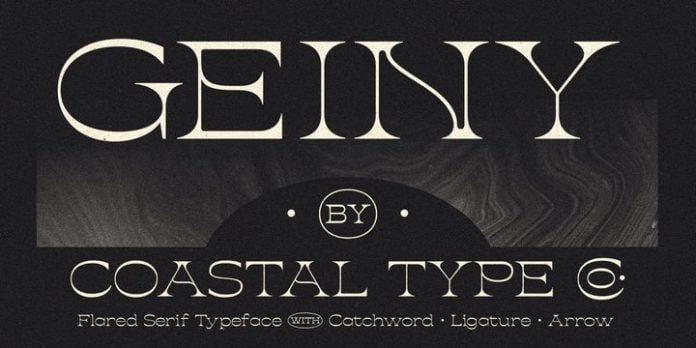 Geiny Font