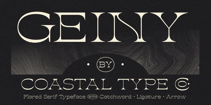 Geiny Font