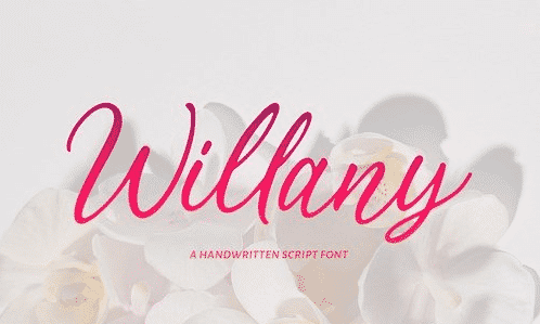 Handwritten Script - Willany Signature Font