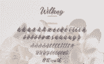 Handwritten Script - Willany Signature Font