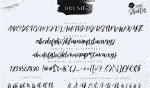 Light Shutter Font Family - 3 Fonts