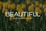 Long Wave Font