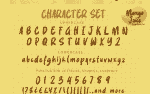 Mango Juice - Rough Brush Font