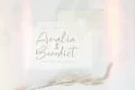 Montthana Script Font