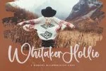 Netherland Script Font