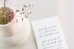 Newlive Malldive Script Font