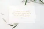 North Amsterdam Script Font